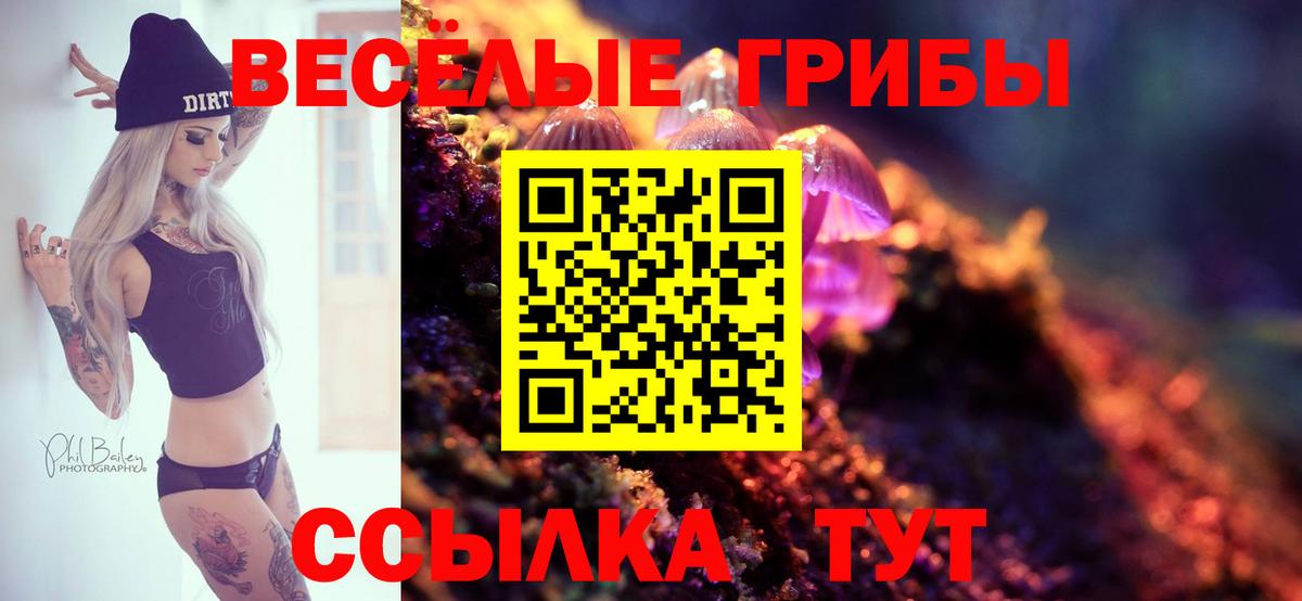 Псилоцибиновые грибы GOLDEN TEACHER  Псилоцибиновые грибы прущие грибы  Лыткарино  Вход с VPN 